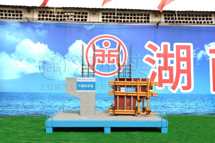 ţ